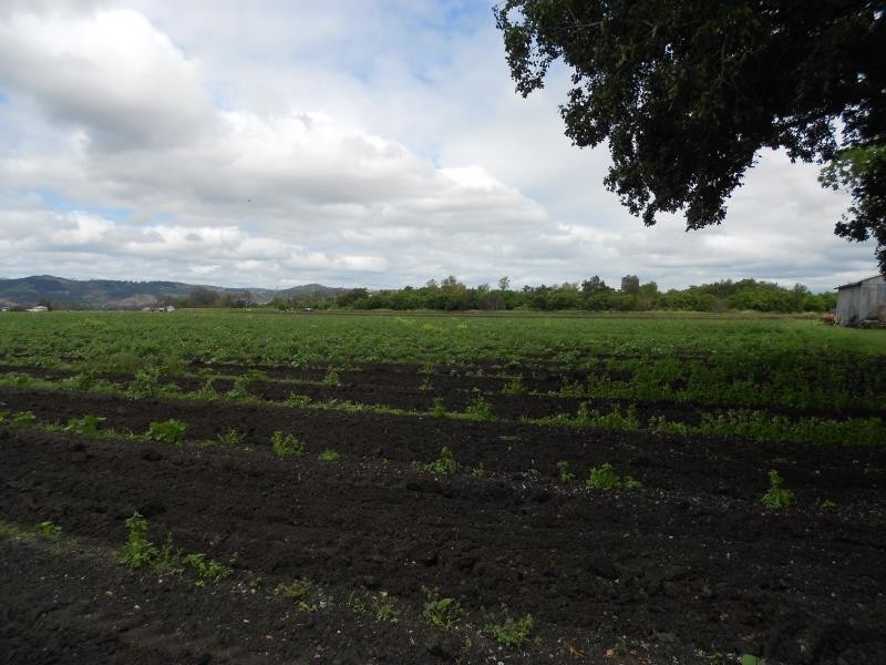 Laidley QLD 4341