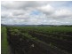 Laidley QLD 4341