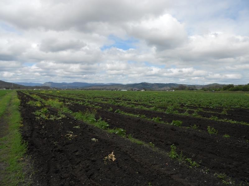 Laidley QLD 4341