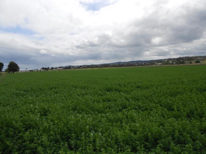 Laidley QLD 4341