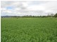 Laidley QLD 4341
