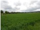 Laidley QLD 4341