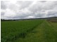 Laidley QLD 4341