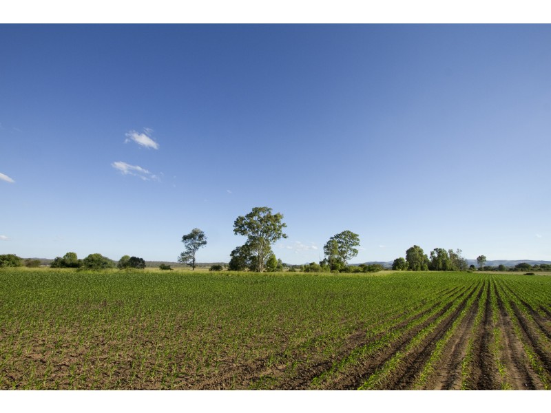 Forest Hill QLD 4342