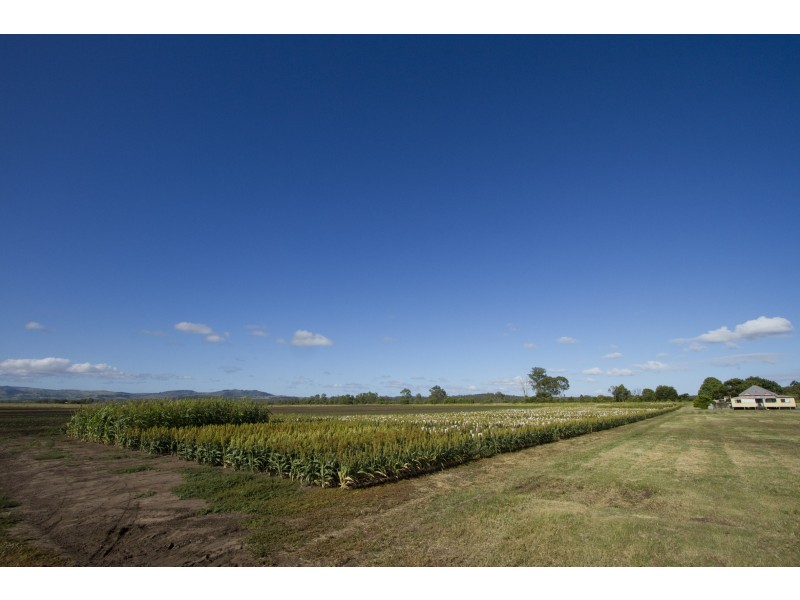 Forest Hill QLD 4342