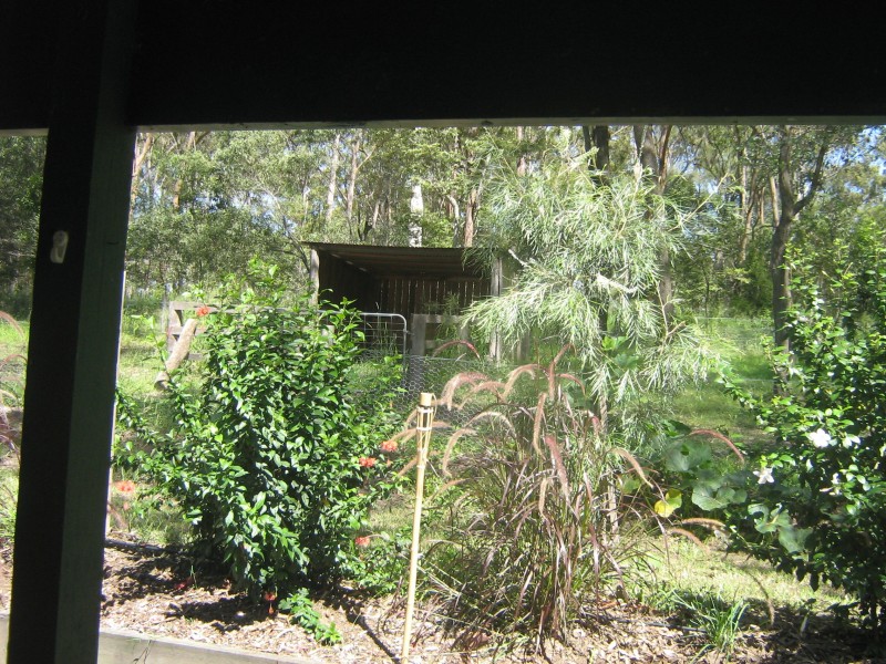 Regency Downs QLD 4341