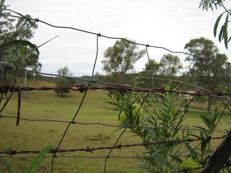Laidley QLD 4341