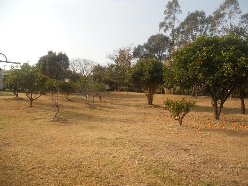 Glenore Grove QLD 4342