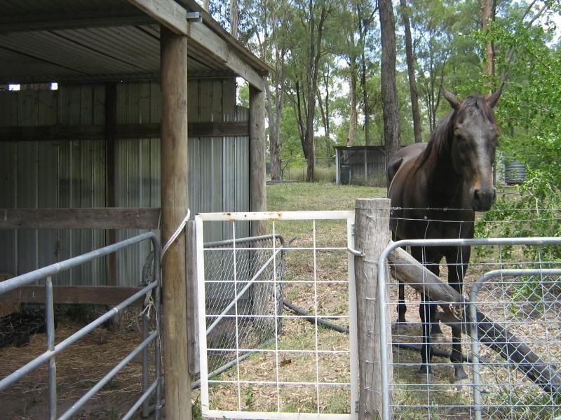 Regency Downs QLD 4341