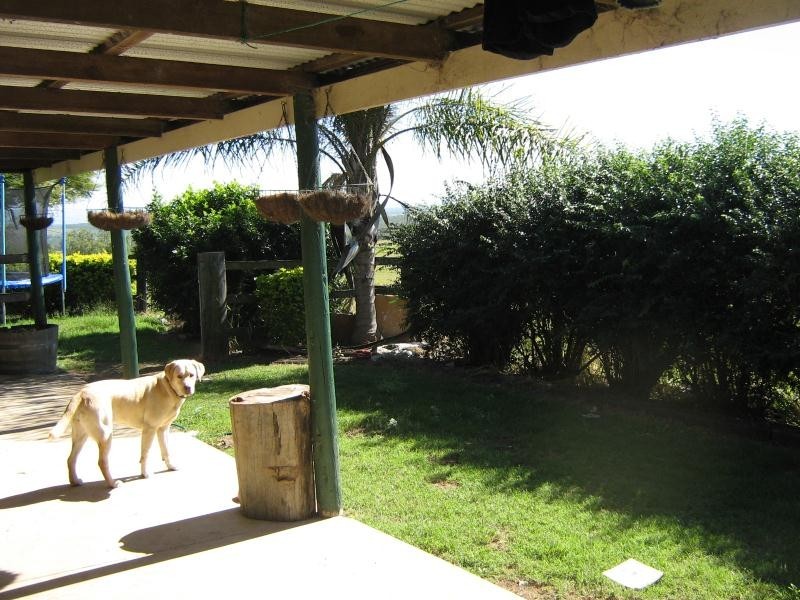 Laidley Creek West QLD 4341