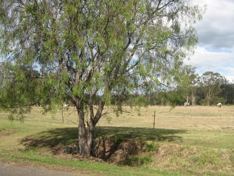 Summerholm QLD 4341