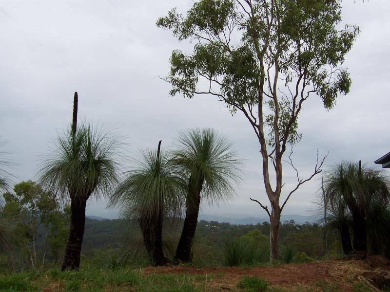 Laidley QLD 4341