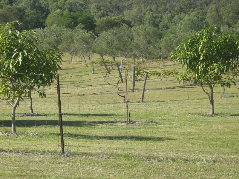 Summerholm QLD 4341
