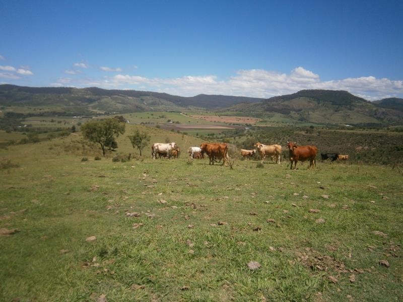 Mount Whitestone QLD 4347