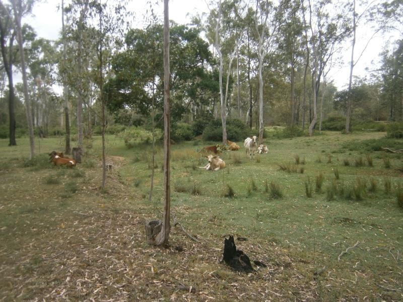 Glen Cairn QLD 4342