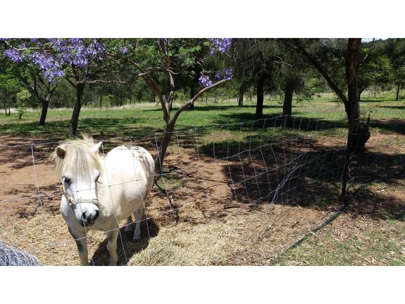 Blenheim QLD 4341
