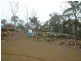 Little Dog Court, Miena TAS 7030
