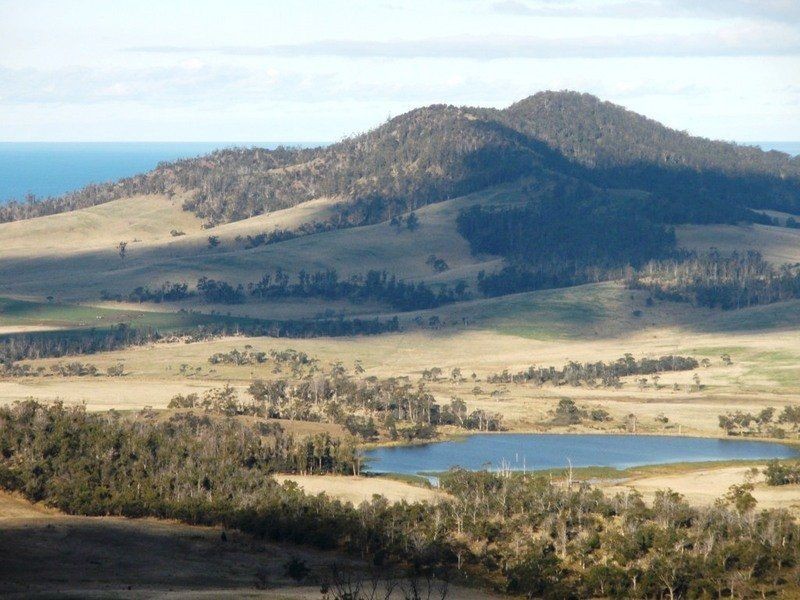 9315 Tasman Highway, Triabunna TAS 7190