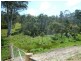 Lot 15 & Lot 16,918 Nugent Road, Wattle Hill TAS 7172