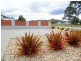 13 Trochus Street, Orford TAS 7190