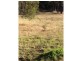 45 Alma Road, Orford TAS 7190