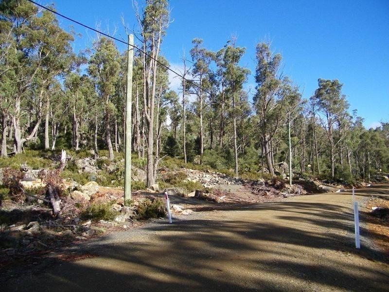 Lot 643 Drysdale Road, Miena TAS 7030