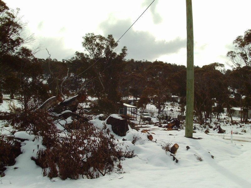 Lot 587 Little Dog Court, Miena TAS 7030