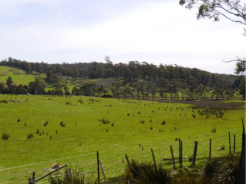 5060 Tasman Highway, Buckland TAS 7190