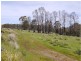 5060 Tasman Highway, Buckland TAS 7190
