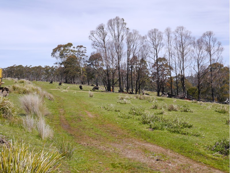5060 Tasman Highway, Buckland TAS 7190