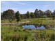 5060 Tasman Highway, Buckland TAS 7190