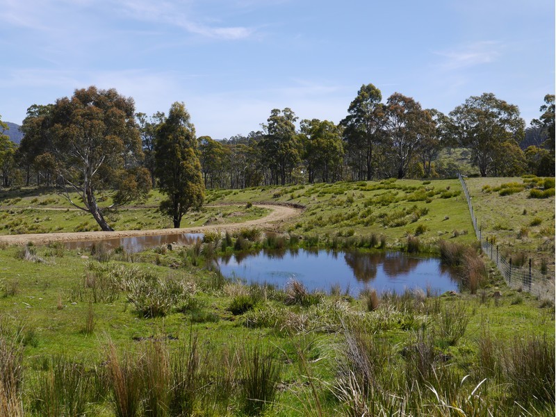5060 Tasman Highway, Buckland TAS 7190