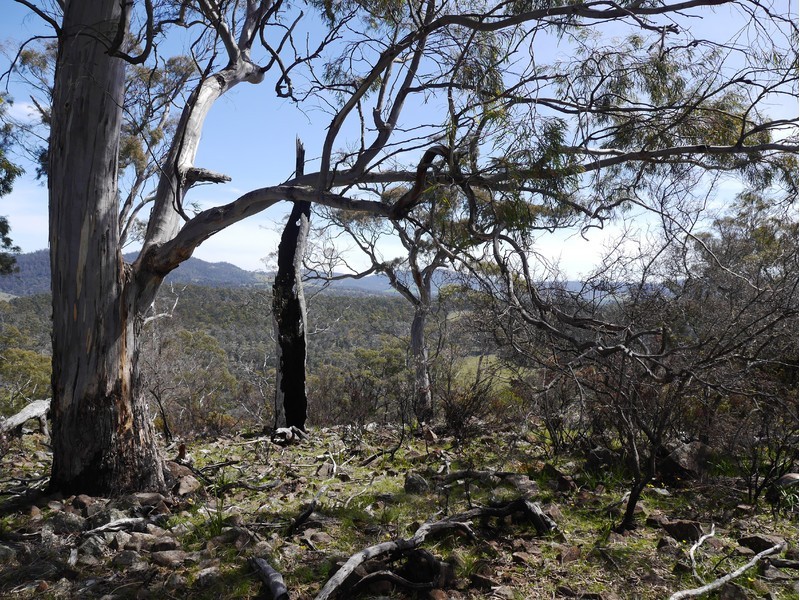 5060 Tasman Highway, Buckland TAS 7190