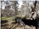 5060 Tasman Highway, Buckland TAS 7190