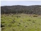 5060 Tasman Highway, Buckland TAS 7190