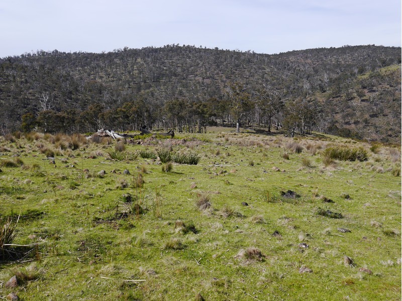 5060 Tasman Highway, Buckland TAS 7190