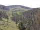 5060 Tasman Highway, Buckland TAS 7190