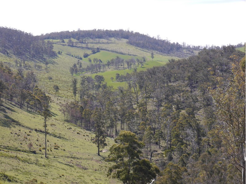 5060 Tasman Highway, Buckland TAS 7190