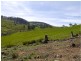 5060 Tasman Highway, Buckland TAS 7190