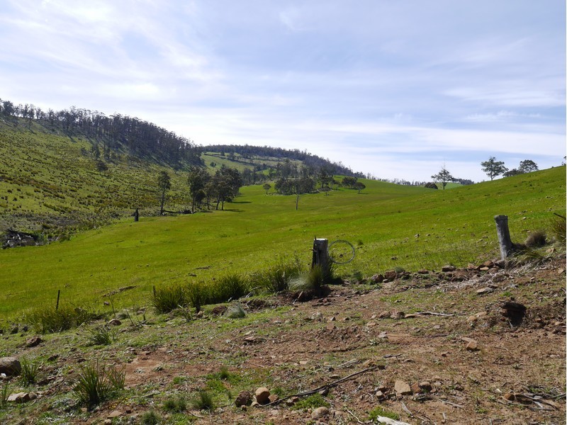 5060 Tasman Highway, Buckland TAS 7190