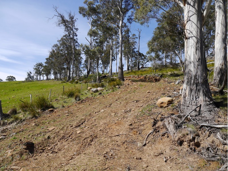 5060 Tasman Highway, Buckland TAS 7190