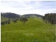 5060 Tasman Highway, Buckland TAS 7190