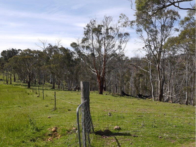 5060 Tasman Highway, Buckland TAS 7190