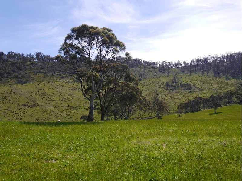 5060 Tasman Highway, Buckland TAS 7190
