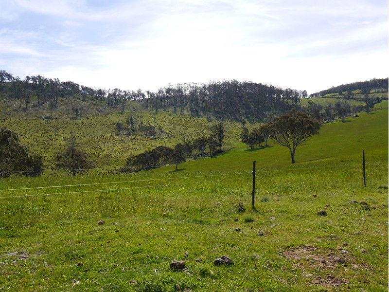 5060 Tasman Highway, Buckland TAS 7190
