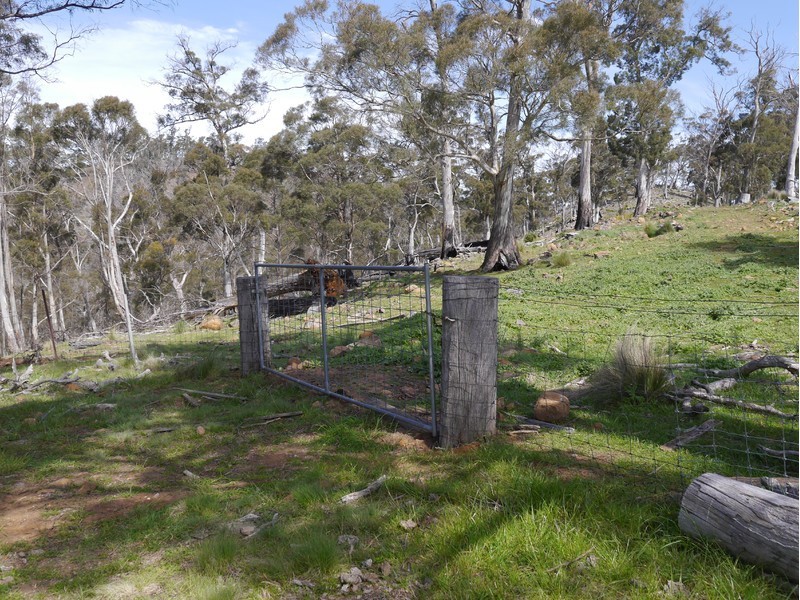 5060 Tasman Highway, Buckland TAS 7190