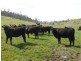 5060 Tasman Highway, Buckland TAS 7190