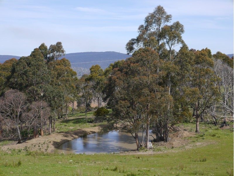 5060 Tasman Highway, Buckland TAS 7190