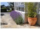 4a Walford Road, Sandy Bay TAS 7005