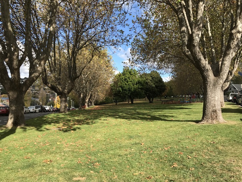 41 Fitzroy Crescent, Dynnyrne TAS 7005